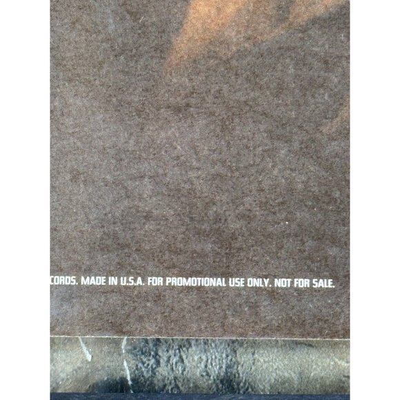 311 Music 1992 Capricorn Records Promotion Poster Not For Sale Framed Very Rare - Picture 4 of 9